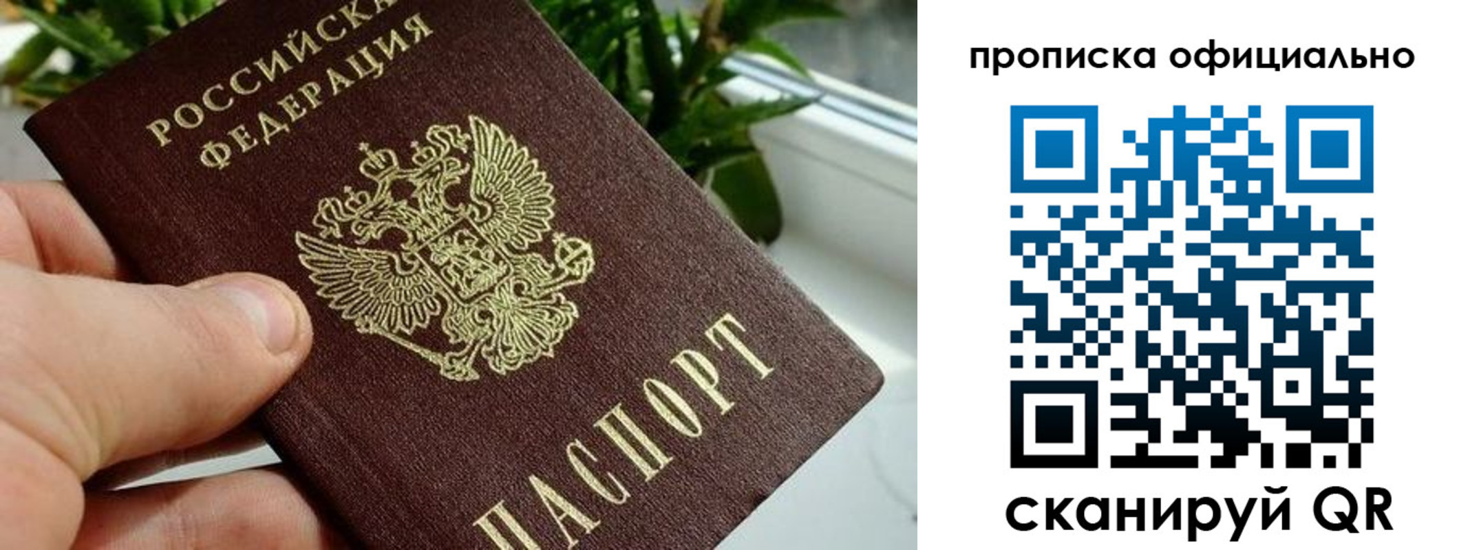 прописка поиск в Морозовске